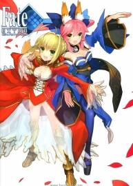《Fate Extra》官方視覺(jué)書