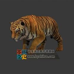 Tiger 老虎Max模型 含骨骼 貼圖 全套動(dòng)作