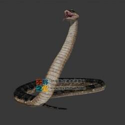 snake 蛇M(jìn)ax模型