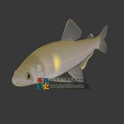 水族之淡水魚(yú) 3DS模型