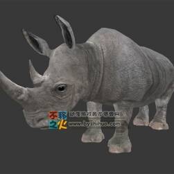 動(dòng)物園之犀牛 Max模型 四邊面