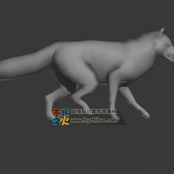 Fox 狐貍 Max模型