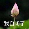 用戶頭像