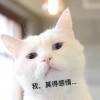 用戶頭像