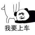 用戶頭像