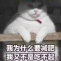 用戶(hù)頭像