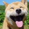 用戶頭像