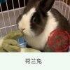 用戶頭像
