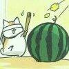 用戶頭像
