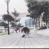 用戶(hù)頭像