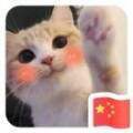 用戶頭像