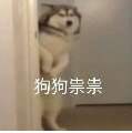 用戶頭像