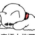 用戶頭像