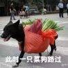 用戶頭像