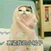 用戶頭像