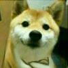 用戶頭像