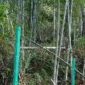 用戶頭像