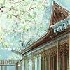 用戶頭像