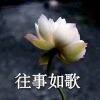用戶頭像