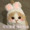 用戶頭像