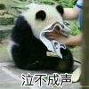 用戶頭像