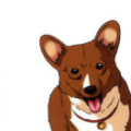 用戶(hù)頭像