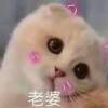 用戶頭像