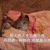 用戶頭像
