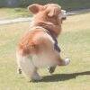 用戶頭像