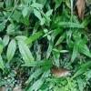 用戶頭像