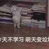 用戶頭像