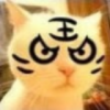 用戶頭像