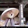 用戶頭像