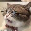 用戶頭像
