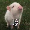 用戶頭像