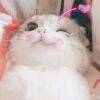 用戶頭像