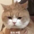 用戶頭像