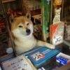 用戶頭像