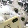 用戶頭像