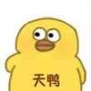 用戶頭像