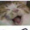 用戶頭像