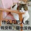 用戶頭像