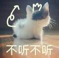 用戶頭像