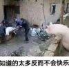 用戶頭像