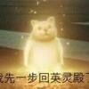 用戶頭像