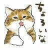 用戶頭像